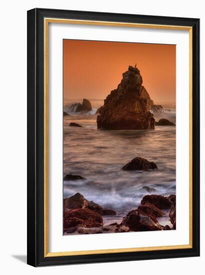 Cormorant and the Sonoma Coast-Vincent James-Framed Photographic Print