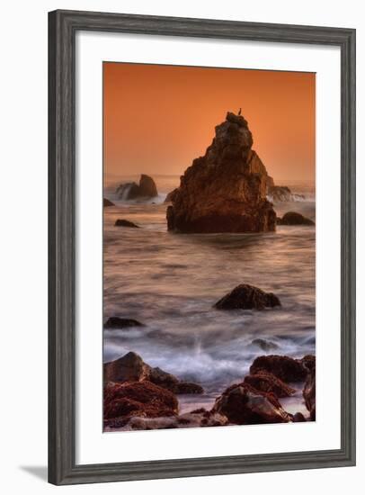 Cormorant and the Sonoma Coast-Vincent James-Framed Photographic Print