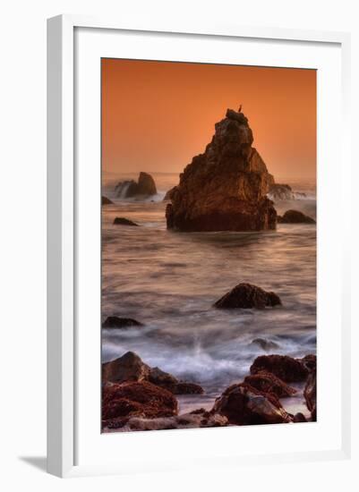 Cormorant and the Sonoma Coast-Vincent James-Framed Photographic Print