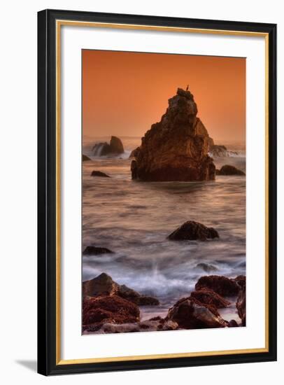 Cormorant and the Sonoma Coast-Vincent James-Framed Photographic Print