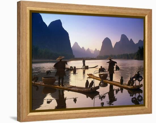 Cormorant, Fisherman, China-Peter Adams-Framed Premier Image Canvas