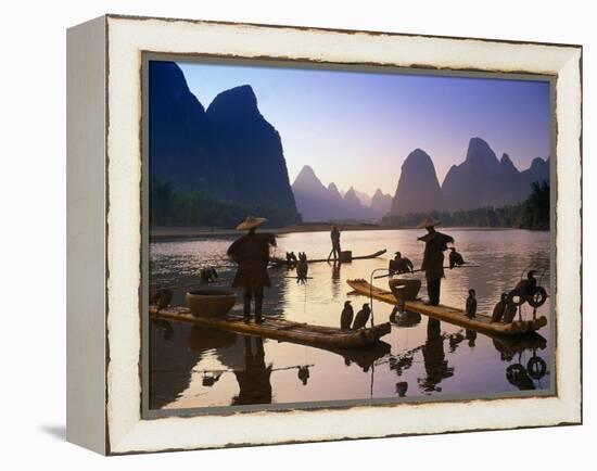 Cormorant, Fisherman, China-Peter Adams-Framed Premier Image Canvas