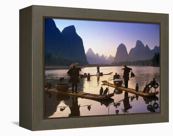 Cormorant, Fisherman, China-Peter Adams-Framed Premier Image Canvas