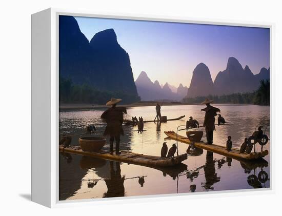 Cormorant, Fisherman, China-Peter Adams-Framed Premier Image Canvas