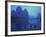 Cormorant Fishermen, Xingping, Li River, Guangxi, China-Walter Bibikow-Framed Photographic Print