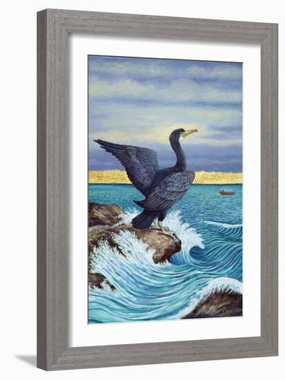 Cormorant on Shag Rock, 2010 (Acrylic on Paper)-Liz Wright-Framed Giclee Print