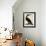 Cormorant, Phalacrocorax Carbo-William Home Lizars-Framed Giclee Print displayed on a wall