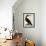 Cormorant, Phalacrocorax Carbo-William Home Lizars-Framed Giclee Print displayed on a wall