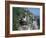 Cormorant-CM Dixon-Framed Photographic Print