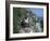 Cormorant-CM Dixon-Framed Photographic Print