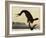 Cormorant-John James Audubon-Framed Giclee Print