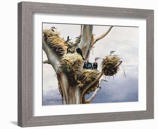 Cormorants- Lake Naivasha, 1984-Sandra Lawrence-Framed Giclee Print