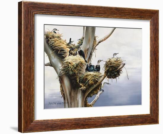 Cormorants- Lake Naivasha, 1984-Sandra Lawrence-Framed Giclee Print