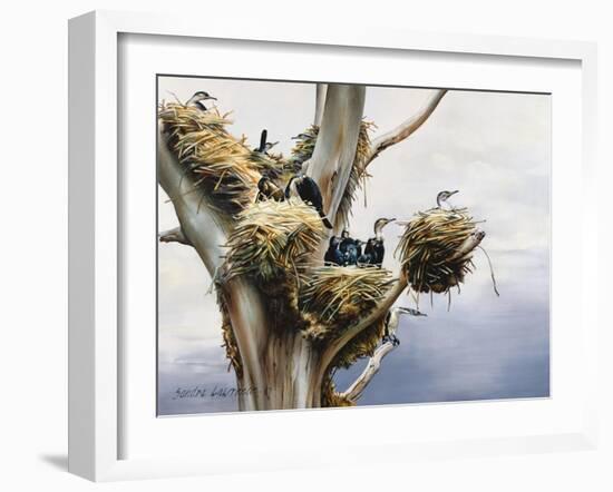 Cormorants- Lake Naivasha, 1984-Sandra Lawrence-Framed Giclee Print