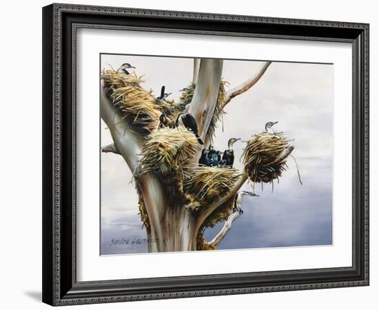 Cormorants- Lake Naivasha, 1984-Sandra Lawrence-Framed Giclee Print