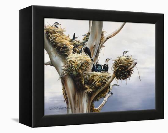 Cormorants- Lake Naivasha, 1984-Sandra Lawrence-Framed Premier Image Canvas