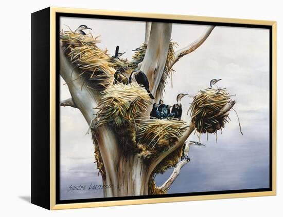 Cormorants- Lake Naivasha, 1984-Sandra Lawrence-Framed Premier Image Canvas