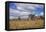 Corn and Dairy Farm-Steven Gaertner-Framed Premier Image Canvas