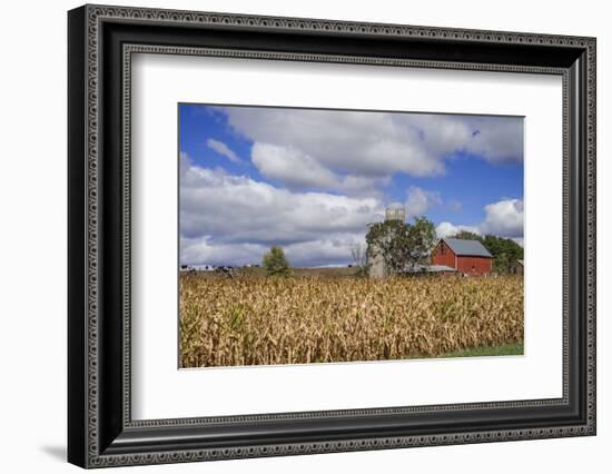 Corn and Dairy Farm-Steven Gaertner-Framed Photographic Print