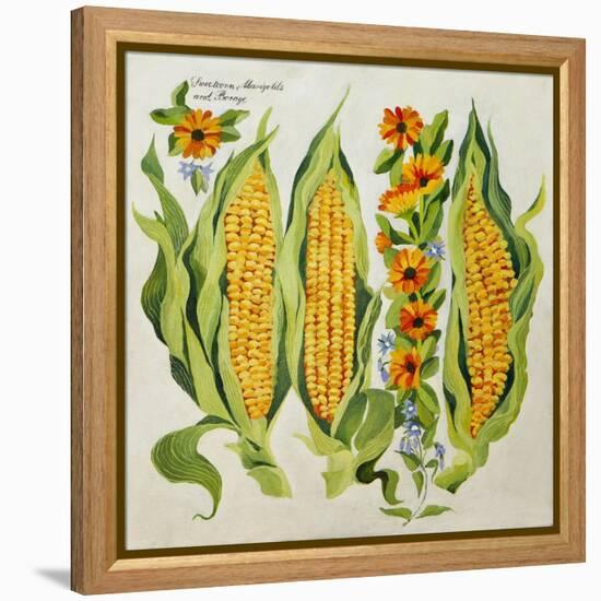 Corn and Marrow Flowers, 2014-Jennifer Abbott-Framed Premier Image Canvas