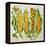 Corn and Marrow Flowers, 2014-Jennifer Abbott-Framed Premier Image Canvas