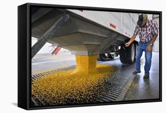 Corn At An Ethanol Processing Plant-David Nunuk-Framed Premier Image Canvas