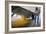 Corn At An Ethanol Processing Plant-David Nunuk-Framed Photographic Print