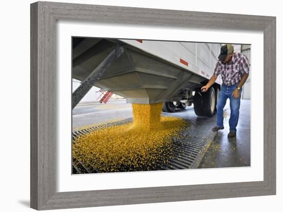 Corn At An Ethanol Processing Plant-David Nunuk-Framed Photographic Print