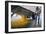 Corn At An Ethanol Processing Plant-David Nunuk-Framed Photographic Print