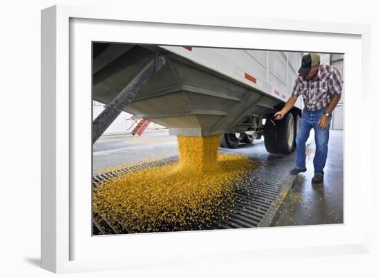 Corn At An Ethanol Processing Plant-David Nunuk-Framed Photographic Print