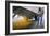 Corn At An Ethanol Processing Plant-David Nunuk-Framed Photographic Print