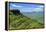 Corn Du, Brecon Beacons National Park, Powys, Wales, United Kingdom, Europe-Billy Stock-Framed Premier Image Canvas