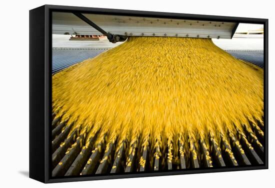 Corn Ethanol Processing Plant-David Nunuk-Framed Premier Image Canvas