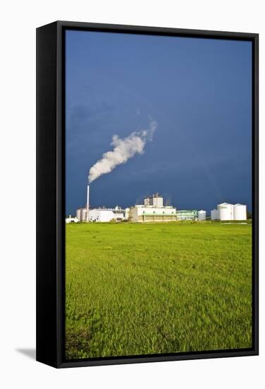 Corn Ethanol Processing Plant-David Nunuk-Framed Premier Image Canvas