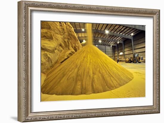 Corn Ethanol Processing Plant-David Nunuk-Framed Photographic Print