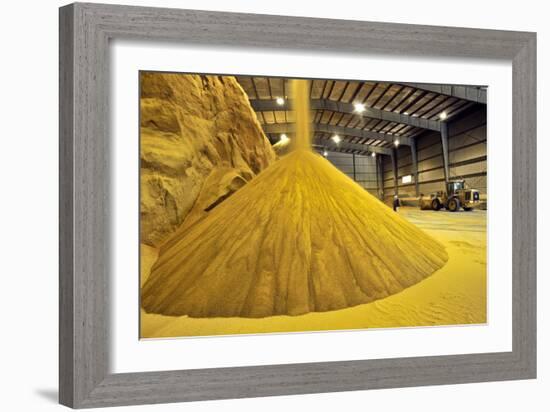 Corn Ethanol Processing Plant-David Nunuk-Framed Photographic Print