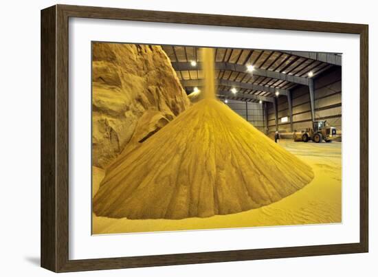 Corn Ethanol Processing Plant-David Nunuk-Framed Photographic Print