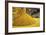 Corn Ethanol Processing Plant-David Nunuk-Framed Photographic Print