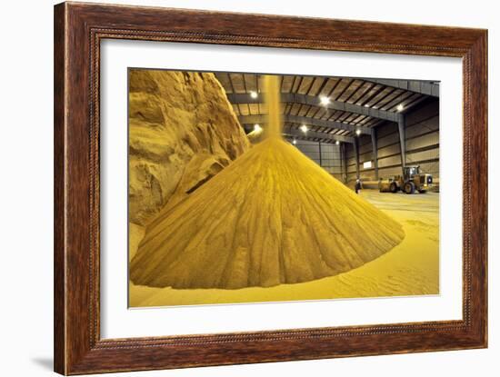 Corn Ethanol Processing Plant-David Nunuk-Framed Photographic Print