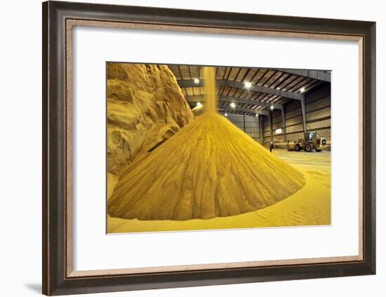 Corn Ethanol Processing Plant-David Nunuk-Framed Photographic Print