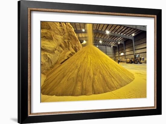 Corn Ethanol Processing Plant-David Nunuk-Framed Photographic Print