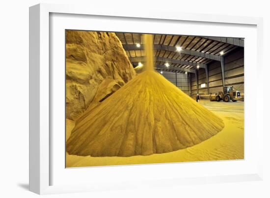 Corn Ethanol Processing Plant-David Nunuk-Framed Photographic Print