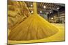 Corn Ethanol Processing Plant-David Nunuk-Mounted Photographic Print