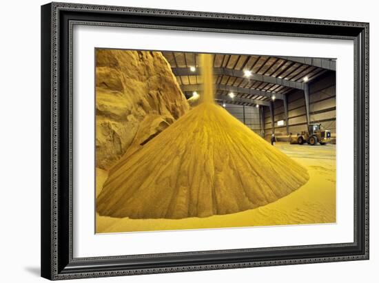 Corn Ethanol Processing Plant-David Nunuk-Framed Photographic Print