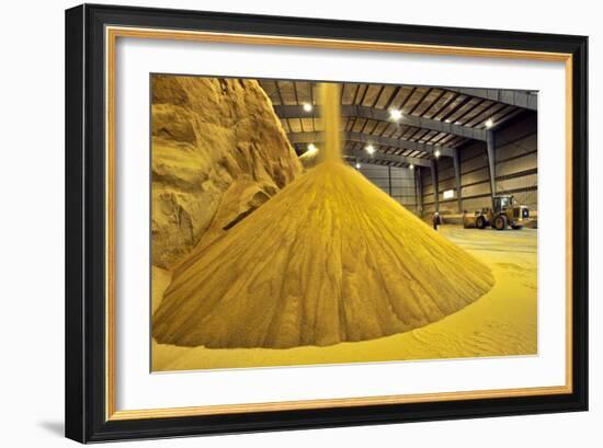 Corn Ethanol Processing Plant-David Nunuk-Framed Photographic Print