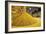 Corn Ethanol Processing Plant-David Nunuk-Framed Photographic Print