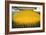 Corn Ethanol Processing Plant-David Nunuk-Framed Photographic Print