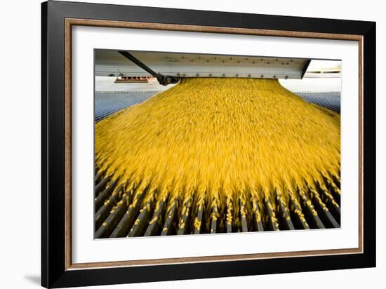 Corn Ethanol Processing Plant-David Nunuk-Framed Photographic Print