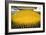 Corn Ethanol Processing Plant-David Nunuk-Framed Photographic Print