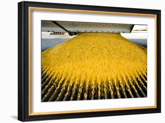 Corn Ethanol Processing Plant-David Nunuk-Framed Photographic Print